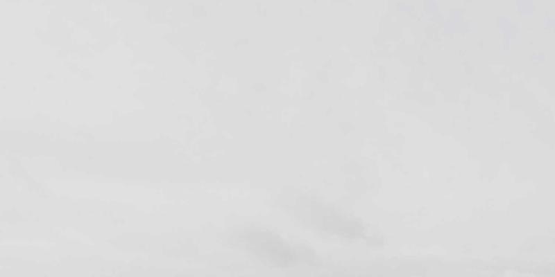 慈溪185便民指南：杭州湾湿地公园观鸟全攻略，守护候鸟迁徙与生态之美