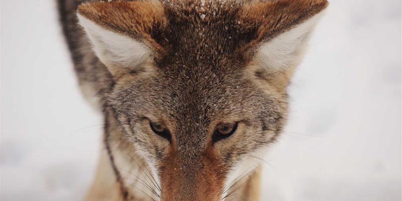 慈溪185：解锁本地生活新体验，一站式便民服务指南