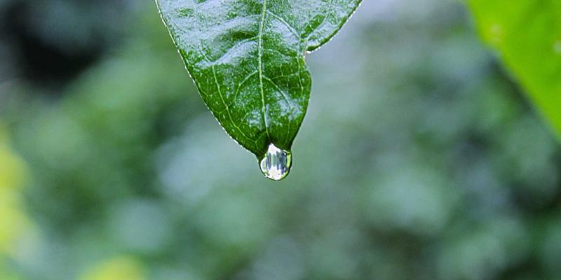 慈溪45与慈溪185：解码城市便民服务密码，开启智慧生活新篇章