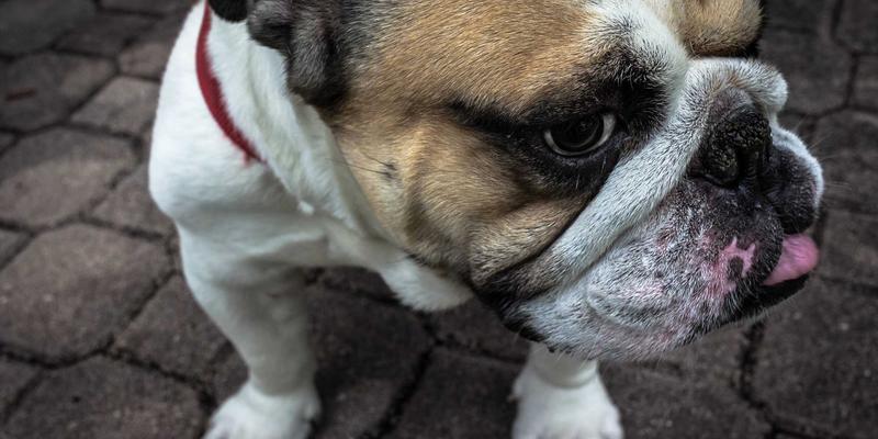 慈溪91与慈溪185：数字时代的便民服务双引擎，打造智慧生活新体验