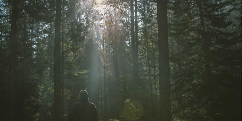 慈溪信息深度解读：从小家电产业带转型看本地便民服务与生活信息新机遇