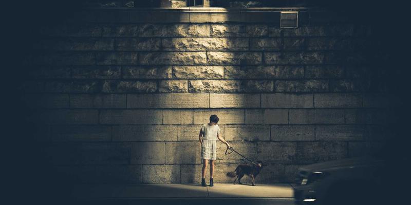 慈溪庵东镇：从千年盐田到杭州湾新城核心，探寻便民生活新篇章