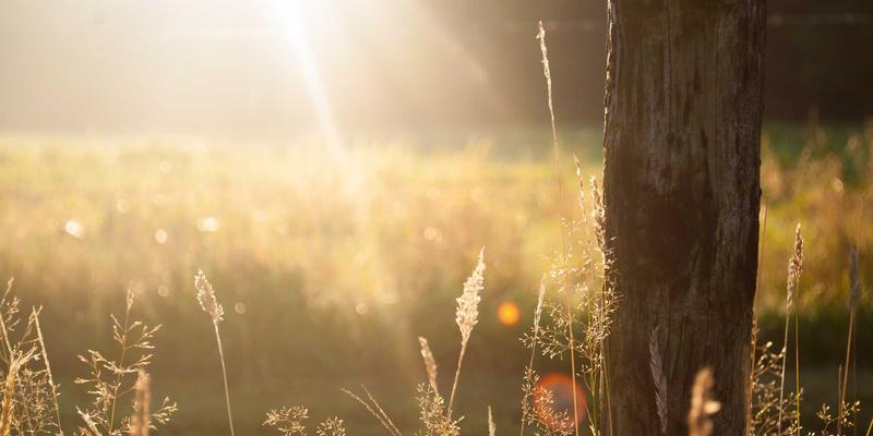 慈溪案例分析：便民服务如何重塑本地生活新生态