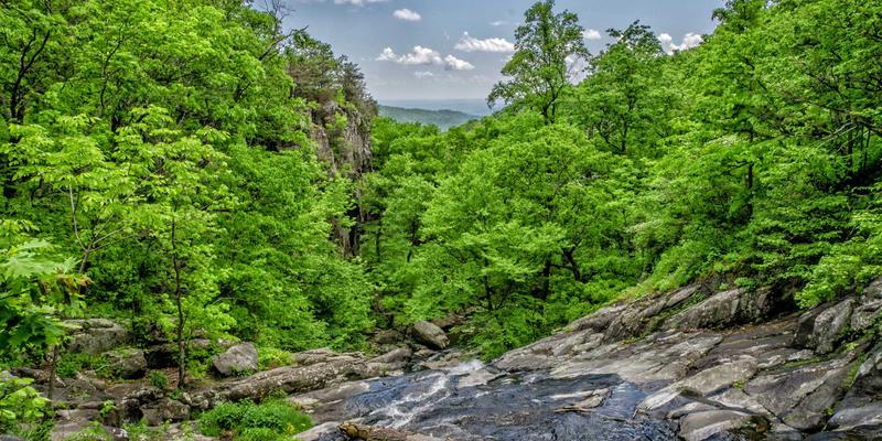 慈溪特色农业新篇章：榨菜与葡萄的种植技术与品牌化发展之路