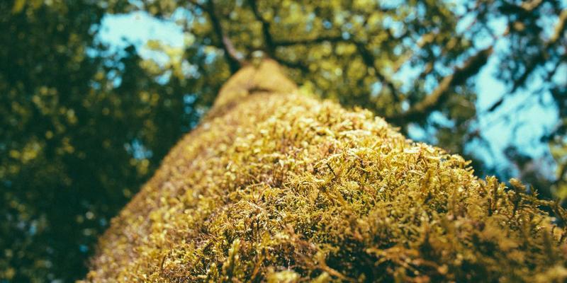 慈溪生活全攻略：解锁这座滨海城市的宜居密码与实用信息