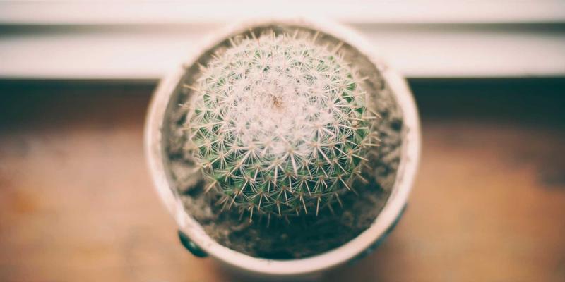 慈溪生活寻艺录：探寻车子灯、剪纸与民间故事的本地传承现状