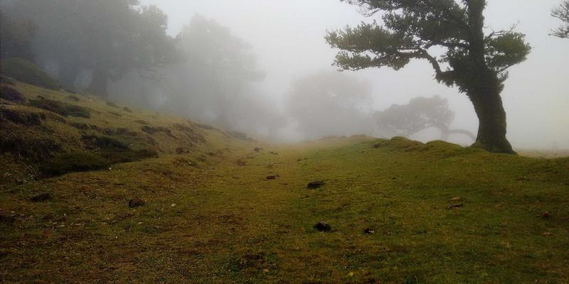 慈溪生活深度解析：从‘慈溪185’看本地生活的真实图景
