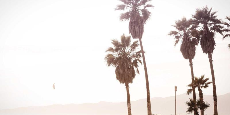 杭州湾跨海大桥如何重塑慈溪本地生活与便民服务新格局